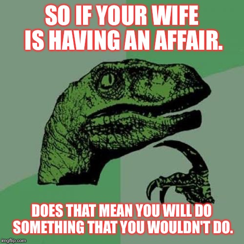 Philosoraptor | SO IF YOUR WIFE IS HAVING AN AFFAIR. DOES THAT MEAN YOU WILL DO SOMETHING THAT YOU WOULDN'T DO. | image tagged in memes,philosoraptor | made w/ Imgflip meme maker