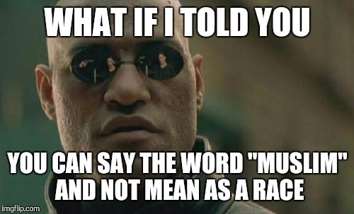 Matrix Morpheus Meme | WHAT IF I TOLD YOU YOU CAN SAY THE WORD "MUSLIM" AND NOT MEAN AS A RACE | image tagged in memes,matrix morpheus | made w/ Imgflip meme maker