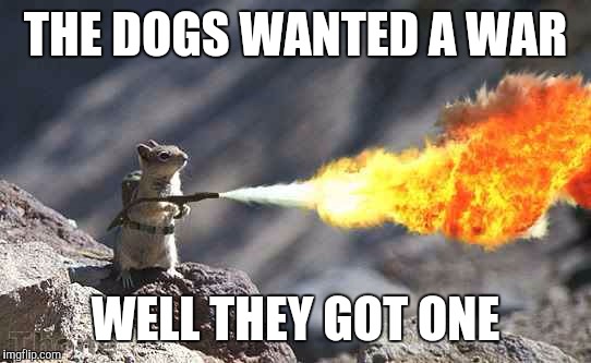 It was only a matter of time till the squirrels started fighting back | THE DOGS WANTED A WAR; WELL THEY GOT ONE | image tagged in squirrel,flamethrower,dogs | made w/ Imgflip meme maker