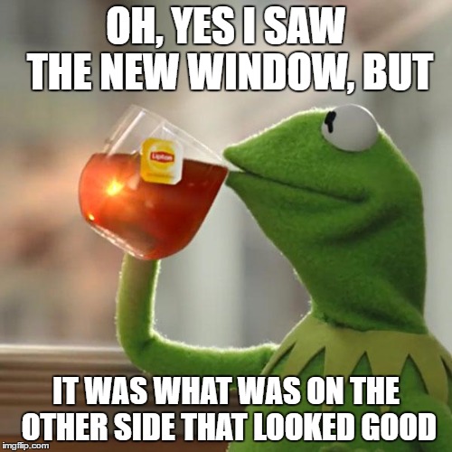 But That's None Of My Business | OH, YES I SAW THE NEW WINDOW, BUT; IT WAS WHAT WAS ON THE OTHER SIDE THAT LOOKED GOOD | image tagged in memes,but thats none of my business,kermit the frog | made w/ Imgflip meme maker