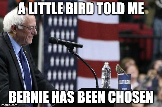 Bernie Bird | A LITTLE BIRD TOLD ME; BERNIE HAS BEEN CHOSEN | image tagged in bernie bird | made w/ Imgflip meme maker