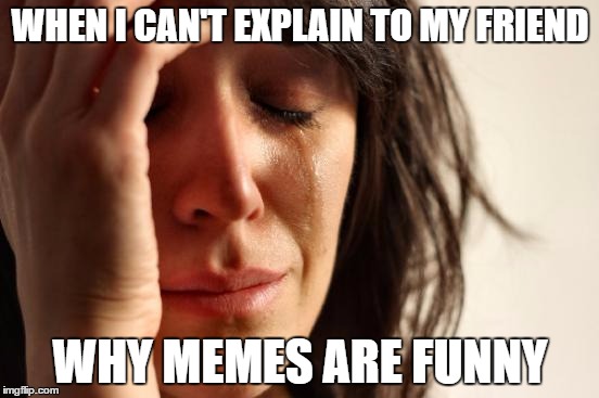 First World Problems | WHEN I CAN'T EXPLAIN TO MY FRIEND; WHY MEMES ARE FUNNY | image tagged in memes,first world problems | made w/ Imgflip meme maker