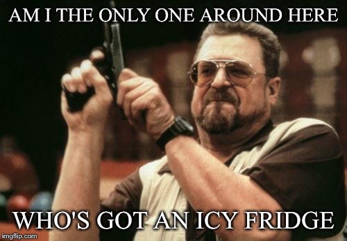 Am I The Only One Around Here | AM I THE ONLY ONE AROUND HERE; WHO'S GOT AN ICY FRIDGE | image tagged in memes,am i the only one around here | made w/ Imgflip meme maker