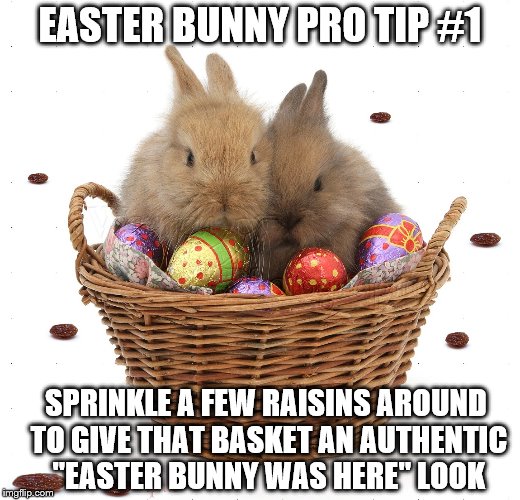 For added effect sweep them into your hand, and start eating them.  | EASTER BUNNY PRO TIP #1; SPRINKLE A FEW RAISINS AROUND TO GIVE THAT BASKET AN AUTHENTIC "EASTER BUNNY WAS HERE" LOOK | image tagged in memes,funny,easter,bunny,animals,extra treats | made w/ Imgflip meme maker