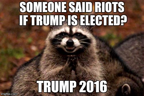 Evil Plotting Raccoon | SOMEONE SAID RIOTS IF TRUMP IS ELECTED? TRUMP 2016 | image tagged in memes,evil plotting raccoon | made w/ Imgflip meme maker
