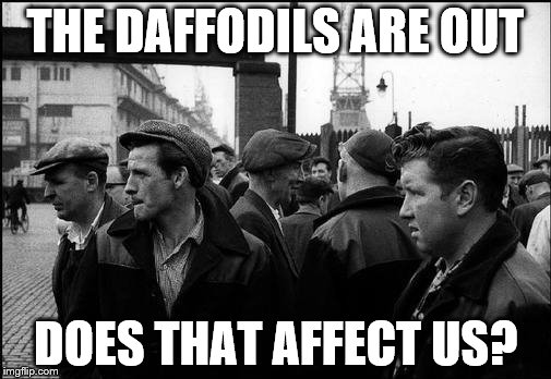 Happy Easter 'egg'istentialism! | THE DAFFODILS ARE OUT; DOES THAT AFFECT US? | image tagged in easter,protest,funny meme,funny,political humor,political revolution | made w/ Imgflip meme maker