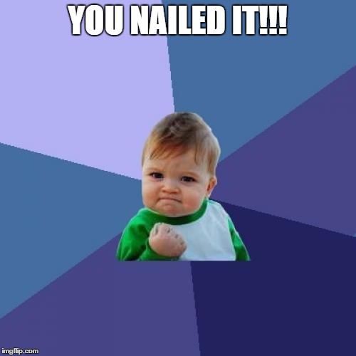 Success Kid Meme | YOU NAILED IT!!! | image tagged in memes,success kid | made w/ Imgflip meme maker
