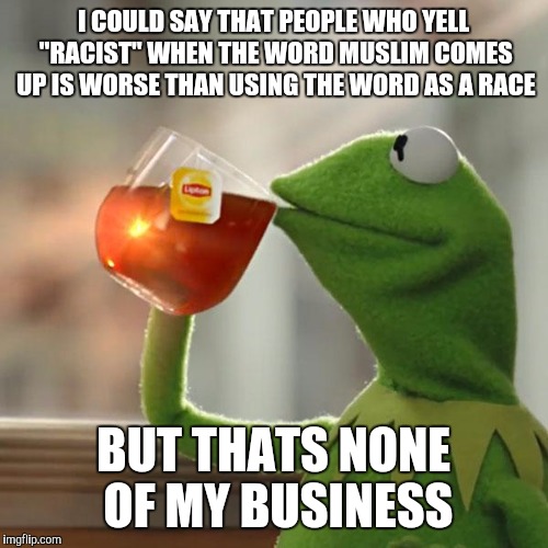 Really, its annoying & it must STAWWPP | I COULD SAY THAT PEOPLE WHO YELL "RACIST" WHEN THE WORD MUSLIM COMES UP IS WORSE THAN USING THE WORD AS A RACE; BUT THATS NONE OF MY BUSINESS | image tagged in memes,but thats none of my business,kermit the frog | made w/ Imgflip meme maker