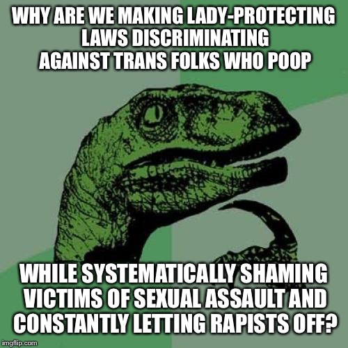 Philosoraptor Meme | WHY ARE WE MAKING LADY-PROTECTING LAWS DISCRIMINATING AGAINST TRANS FOLKS WHO POOP; WHILE SYSTEMATICALLY SHAMING VICTIMS OF SEXUAL ASSAULT AND CONSTANTLY LETTING RAPISTS OFF? | image tagged in memes,philosoraptor | made w/ Imgflip meme maker