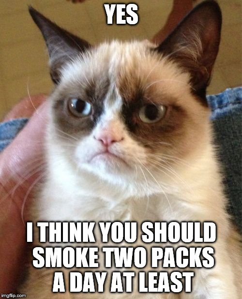 Grumpy Cat Meme | YES I THINK YOU SHOULD SMOKE TWO PACKS A DAY AT LEAST | image tagged in memes,grumpy cat | made w/ Imgflip meme maker