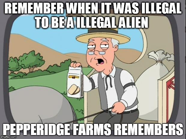 PEPPERIDGE FARMS REMEMBERS | REMEMBER WHEN IT WAS ILLEGAL TO BE A ILLEGAL ALIEN | image tagged in pepperidge farms remembers | made w/ Imgflip meme maker
