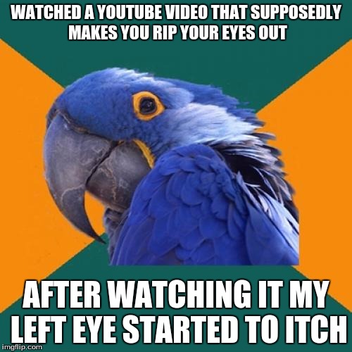I knew it wasn't true, but when I did watch it, it must've been coincidence that my eye itched. | WATCHED A YOUTUBE VIDEO THAT SUPPOSEDLY MAKES YOU RIP YOUR EYES OUT; AFTER WATCHING IT MY LEFT EYE STARTED TO ITCH | image tagged in memes,paranoid parrot | made w/ Imgflip meme maker