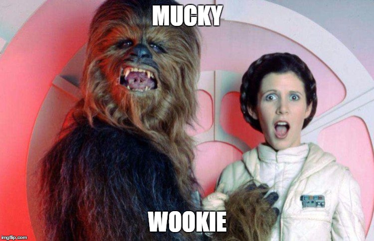 mucky wookie | MUCKY; WOOKIE | image tagged in mucky wookie | made w/ Imgflip meme maker