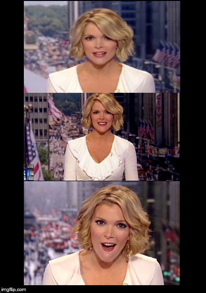 idiot newsmakers Megyn 1 Blank Meme Template