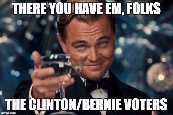 Leonardo Dicaprio Cheers Meme | THERE YOU HAVE EM, FOLKS THE CLINTON/BERNIE VOTERS | image tagged in memes,leonardo dicaprio cheers | made w/ Imgflip meme maker