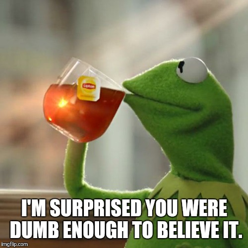 But That's None Of My Business Meme | I'M SURPRISED YOU WERE DUMB ENOUGH TO BELIEVE IT. | image tagged in memes,but thats none of my business,kermit the frog | made w/ Imgflip meme maker
