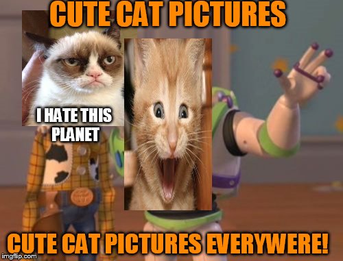 X, X Everywhere Meme | CUTE CAT PICTURES; I HATE THIS PLANET; CUTE CAT PICTURES EVERYWERE! | image tagged in memes,x x everywhere | made w/ Imgflip meme maker