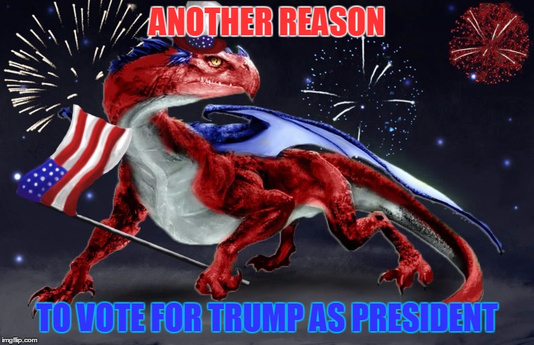 american dragon | ANOTHER REASON TO VOTE FOR TRUMP AS PRESIDENT | image tagged in american dragon | made w/ Imgflip meme maker