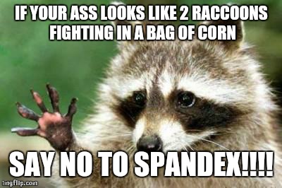 Hello raccoon | IF YOUR ASS LOOKS LIKE 2 RACCOONS FIGHTING IN A BAG OF CORN; SAY NO TO SPANDEX!!!! | image tagged in hello raccoon | made w/ Imgflip meme maker