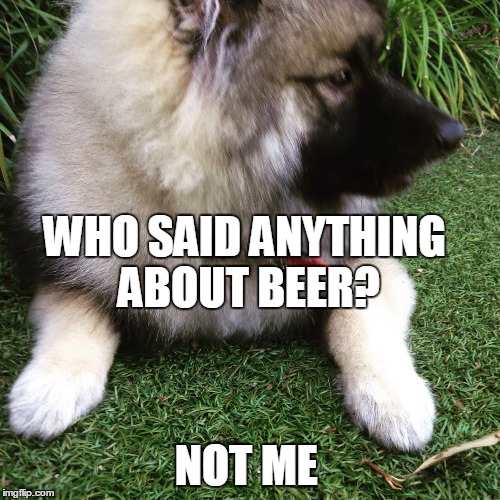 WHO SAID ANYTHING ABOUT BEER? NOT ME | made w/ Imgflip meme maker