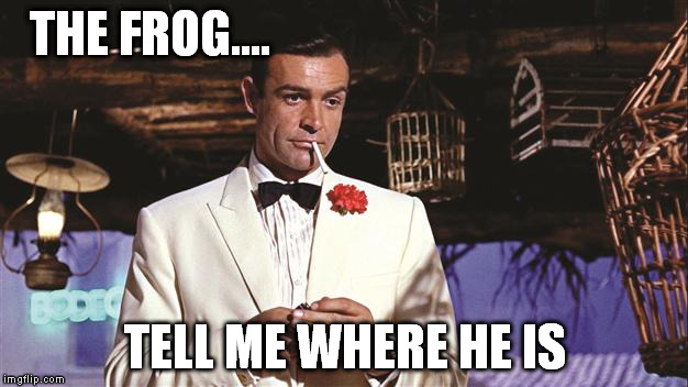 THE FROG.... TELL ME WHERE HE IS | made w/ Imgflip meme maker