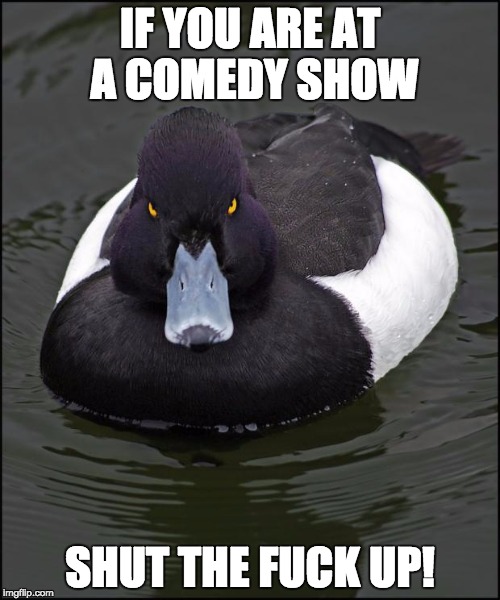 Angry duck | IF YOU ARE AT A COMEDY SHOW; SHUT THE FUCK UP! | image tagged in angry duck,AdviceAnimals | made w/ Imgflip meme maker
