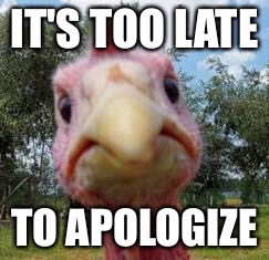 turkey | IT'S TOO LATE; TO APOLOGIZE | image tagged in turkey,memes | made w/ Imgflip meme maker