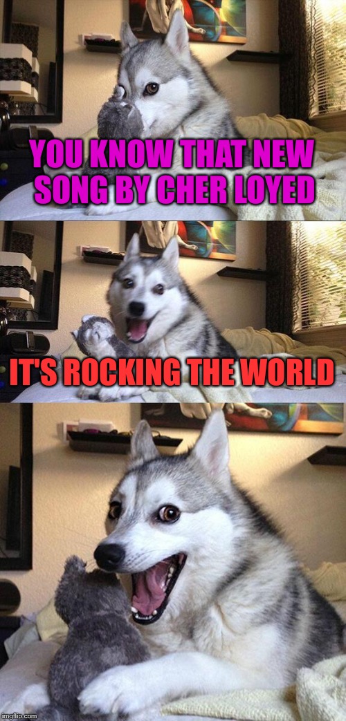 Rocking the world | YOU KNOW THAT NEW SONG BY CHER LOYED; IT'S ROCKING THE WORLD | image tagged in memes,bad pun dog | made w/ Imgflip meme maker