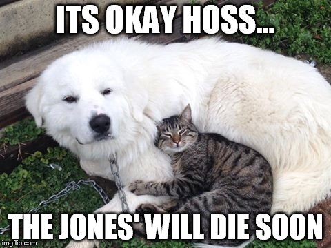 Cat comforting dog | ITS OKAY HOSS... THE JONES' WILL DIE SOON | image tagged in memes | made w/ Imgflip meme maker