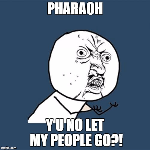 If they had memes in biblical times... | PHARAOH; Y U NO LET MY PEOPLE GO?! | image tagged in memes,y u no | made w/ Imgflip meme maker