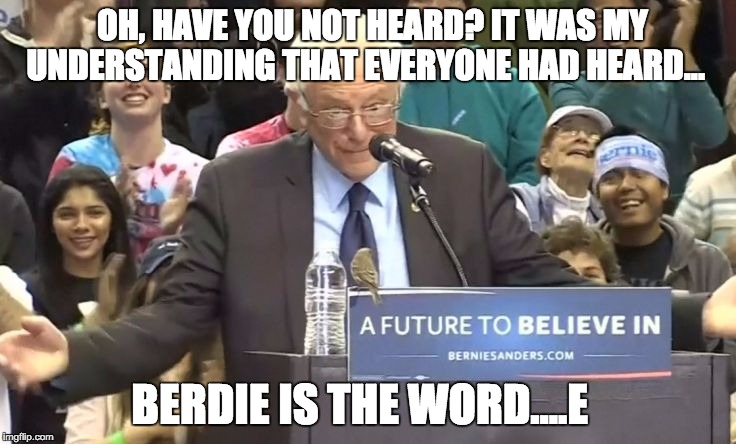 berdie | OH, HAVE YOU NOT HEARD? IT WAS MY UNDERSTANDING THAT EVERYONE HAD HEARD... BERDIE IS THE WORD....E | image tagged in berdie | made w/ Imgflip meme maker