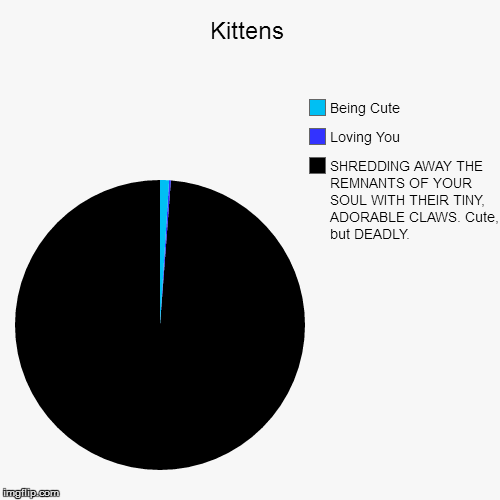 image tagged in funny,pie charts | made w/ Imgflip chart maker