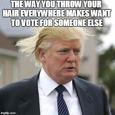 One Direction, Anyone? | THE WAY YOU THROW YOUR HAIR EVERYWHERE MAKES WANT TO VOTE FOR SOMEONE ELSE | image tagged in donald trump,music,one direction,hair,bad hair day,trump | made w/ Imgflip meme maker