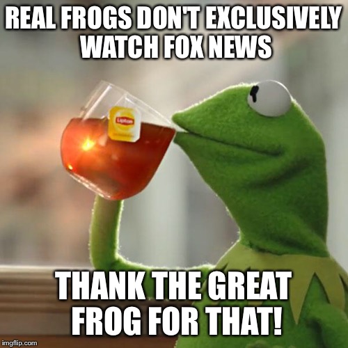 But That's None Of My Business Meme | REAL FROGS DON'T EXCLUSIVELY WATCH FOX NEWS THANK THE GREAT FROG FOR THAT! | image tagged in memes,but thats none of my business,kermit the frog | made w/ Imgflip meme maker