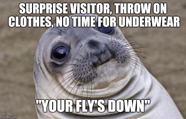Awkward Moment Sealion Meme | SURPRISE VISITOR, THROW ON CLOTHES, NO TIME FOR UNDERWEAR; "YOUR FLY'S DOWN" | image tagged in memes,awkward moment sealion,AdviceAnimals | made w/ Imgflip meme maker