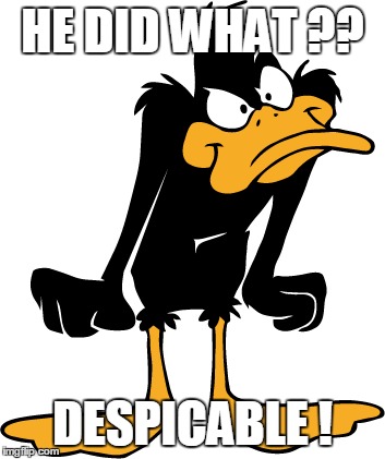 Mad Daffy | HE DID WHAT ?? DESPICABLE ! | image tagged in daffy duck,mad,wtf | made w/ Imgflip meme maker