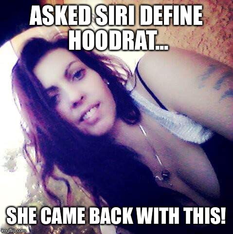 ASKED SIRI DEFINE HOODRAT... SHE CAME BACK WITH THIS! | image tagged in hoodrat | made w/ Imgflip meme maker