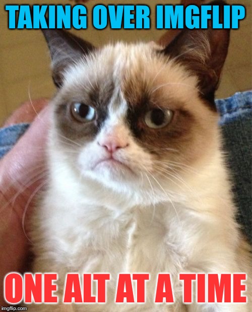 Grumpy Cat Meme | TAKING OVER IMGFLIP ONE ALT AT A TIME | image tagged in memes,grumpy cat | made w/ Imgflip meme maker