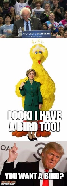 Political birds | LOOK! I HAVE A BIRD TOO! YOU WANT A BIRD? | image tagged in bernie sanders,donald trump,hillary clinton,political meme,election 2016,memes | made w/ Imgflip meme maker