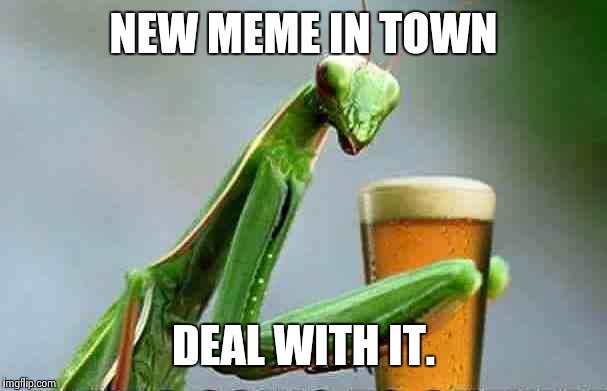  NEW MEME IN TOWN; DEAL WITH IT. | image tagged in AdviceAnimals | made w/ Imgflip meme maker