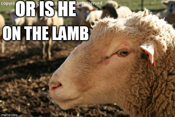 OR IS HE ON THE LAMB | made w/ Imgflip meme maker