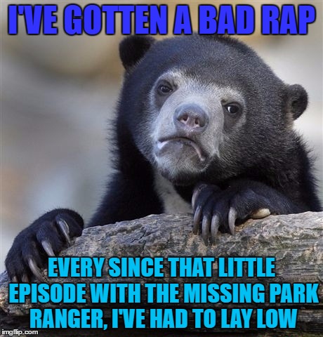 Confession Bear | I'VE GOTTEN A BAD RAP; EVERY SINCE THAT LITTLE EPISODE WITH THE MISSING PARK RANGER, I'VE HAD TO LAY LOW | image tagged in memes,confession bear | made w/ Imgflip meme maker