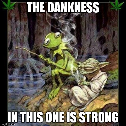 THE DANKNESS IN THIS ONE IS STRONG | made w/ Imgflip meme maker
