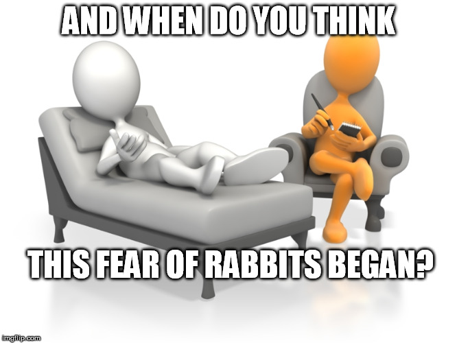 AND WHEN DO YOU THINK THIS FEAR OF RABBITS BEGAN? | made w/ Imgflip meme maker