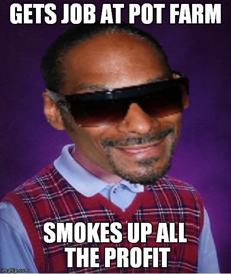 GETS JOB AT POT FARM SMOKES UP ALL THE PROFIT | made w/ Imgflip meme maker