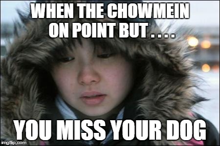 asian kid cry | WHEN THE CHOWMEIN ON POINT BUT . . . . YOU MISS YOUR DOG | image tagged in asian kid cry | made w/ Imgflip meme maker