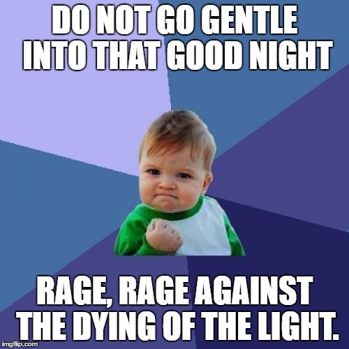 Success Kid Meme | DO NOT GO GENTLE INTO THAT GOOD NIGHT; RAGE, RAGE AGAINST THE DYING OF THE LIGHT. | image tagged in memes,success kid | made w/ Imgflip meme maker