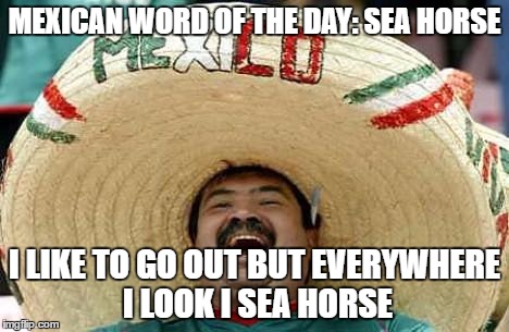 Mexico | MEXICAN WORD OF THE DAY: SEA HORSE; I LIKE TO GO OUT BUT EVERYWHERE I LOOK I SEA HORSE | image tagged in mexico | made w/ Imgflip meme maker