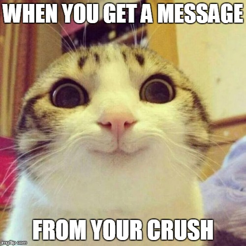 Smiling Cat Meme | WHEN YOU GET A MESSAGE; FROM YOUR CRUSH | image tagged in memes,smiling cat | made w/ Imgflip meme maker