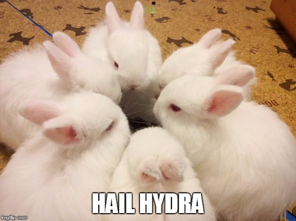 Secret Bunny Meeting | HAIL HYDRA | image tagged in hail hydra,bunnies,cute,illuminati | made w/ Imgflip meme maker